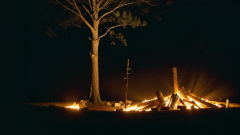 看更多正在数字经济兴旺成长的当下